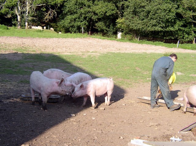 2011 09 24 Sortie ferme de la Noue 12